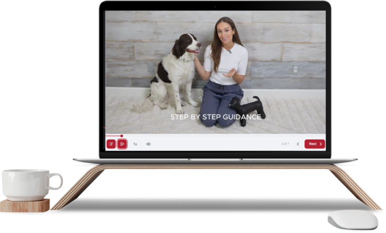 Pet Course Pet CPR for Dogs & Cats - Online Certification Course